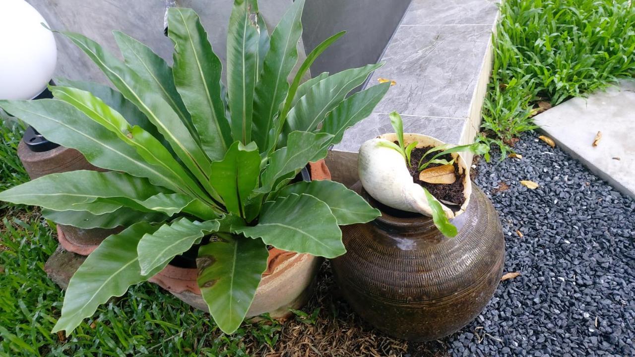 Marin' S Home Thalang Exterior foto